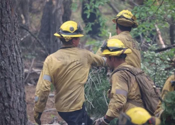 California Fire Foundation donates Relief Cash Cards to those effected by the Park Fire