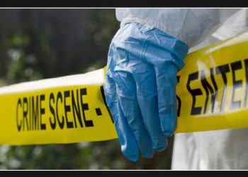 Man discovered fatally stabbed in Lynwood
