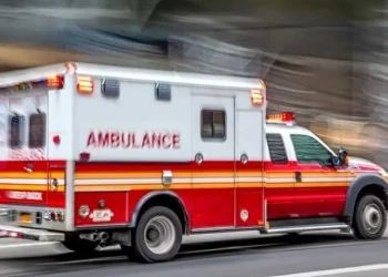 One Woman Dead and Two Injured in California After Samurai Sword Attack