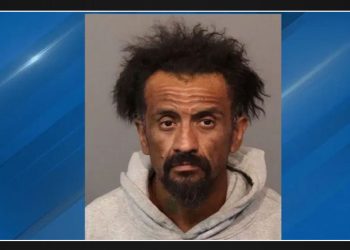 California felon with multiple charges arrested by Washoe County deputies