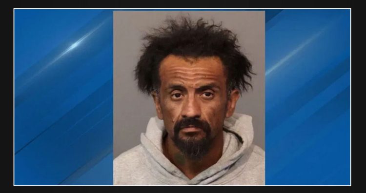 California felon with multiple charges arrested by Washoe County deputies