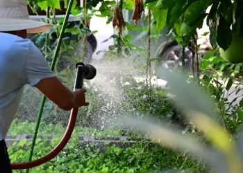 California to impose permanent water restrictions on cities and towns