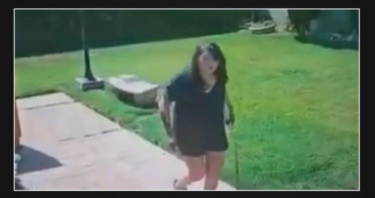 Samurai-Wielding Woman Arrested in LA for Fatal Attack on Wife and Elderly Mother