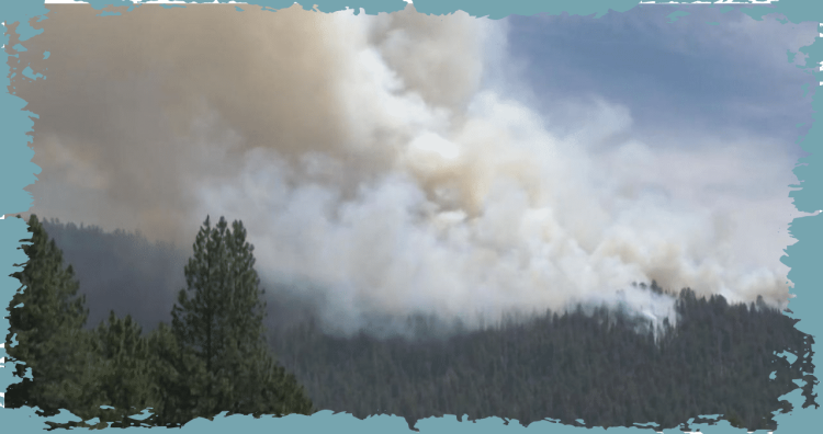NASA Utilizes Satellites to Detect Areas Prone to Devastating Wildfires