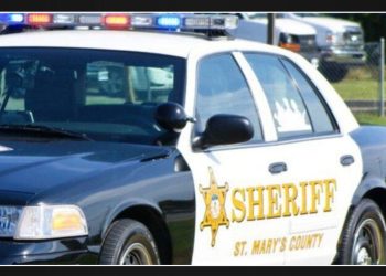 Hollywood Teen arrested and charged with assault for pointing a gun at colleagues