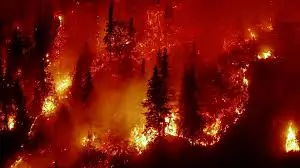 NASA Utilizes Satellites to Pinpoint Areas Prone to Devastating Wildfires
