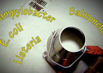 Over 165 Infected in Salmonella Outbreak Linked to Raw Milk