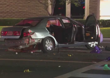 Five people in California hospitalized following hit-and-run