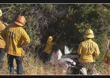 3 occupants die after car veers off 5 Freeway in Castaic
