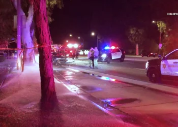 Tragic Collision Claims Life of Off-Duty L.A. County Sheriff’s Deputy