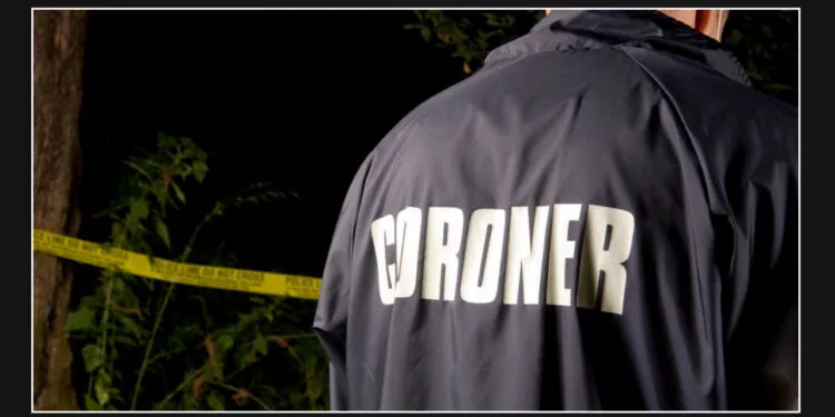 Identity of individual who died in Ladera Heights crash into fire hydrant revealed by authorities