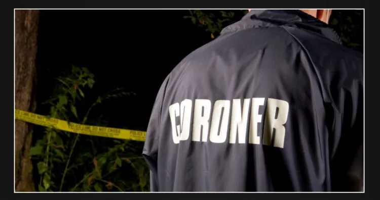 Identity of individual who died in Ladera Heights crash into fire hydrant revealed by authorities