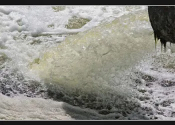 Legislation proposed by California lawmakers to address the Tijuana River sewage crisis